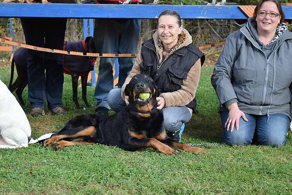 med_Gut gelaunt.jpg (600 x 400)